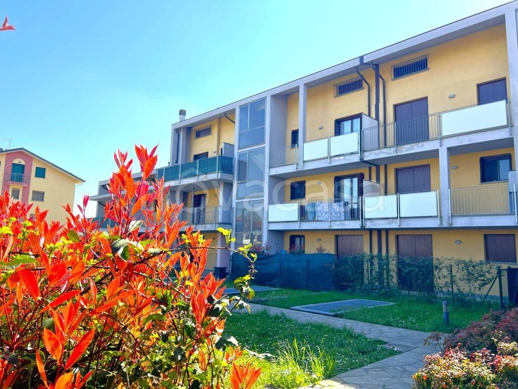 immagine annuncio 8 di 15