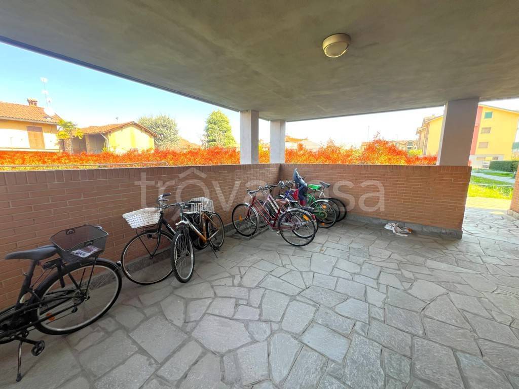 immagine annuncio 10 di 15