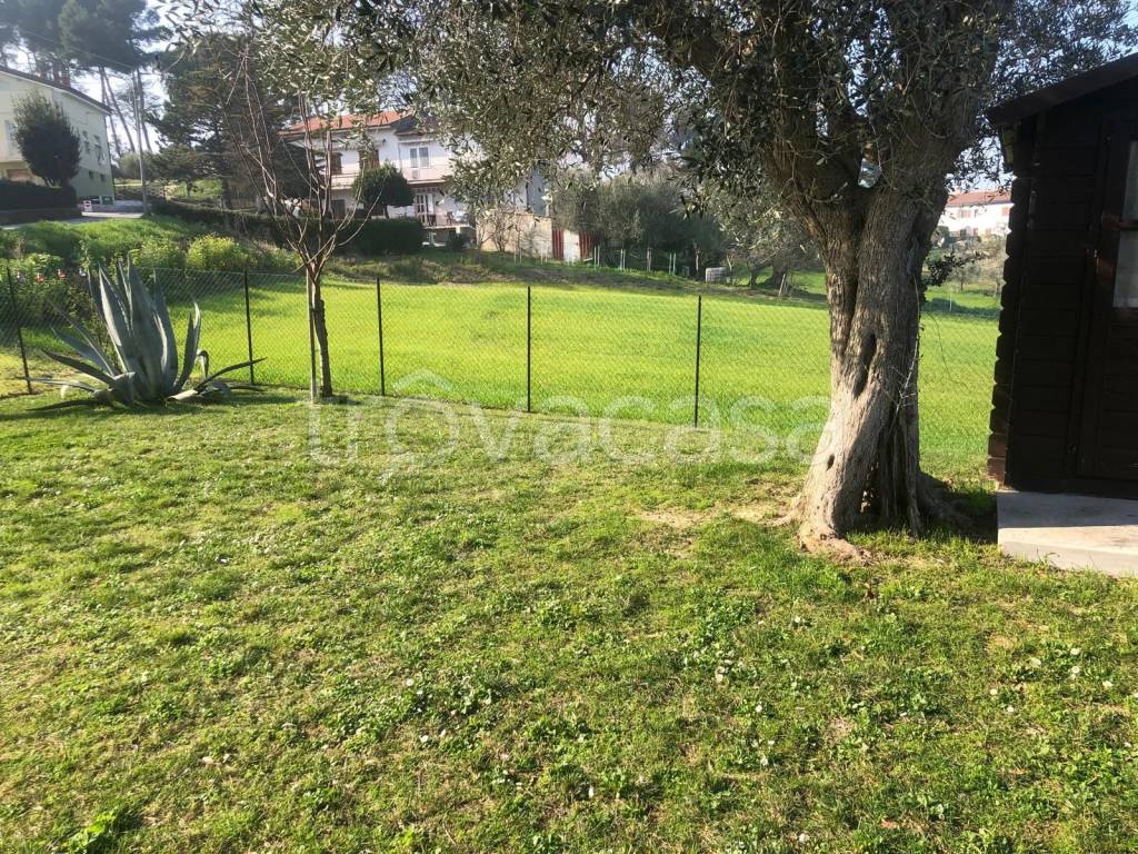 immagine annuncio 6 di 13