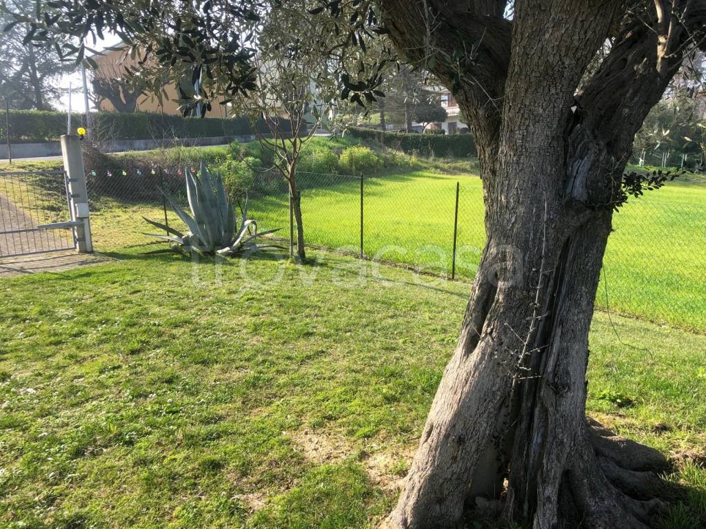 immagine annuncio 7 di 13
