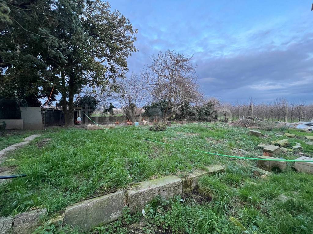 immagine annuncio 11 di 14