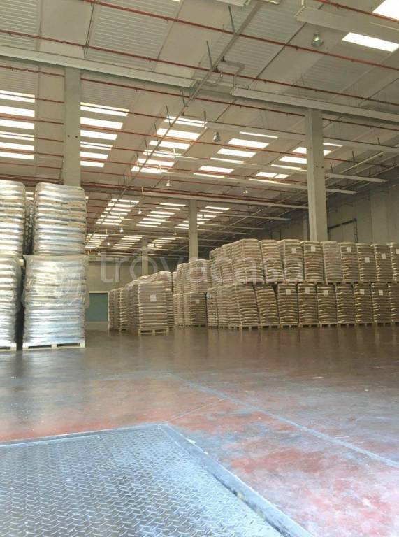 immagine annuncio 7 di 9