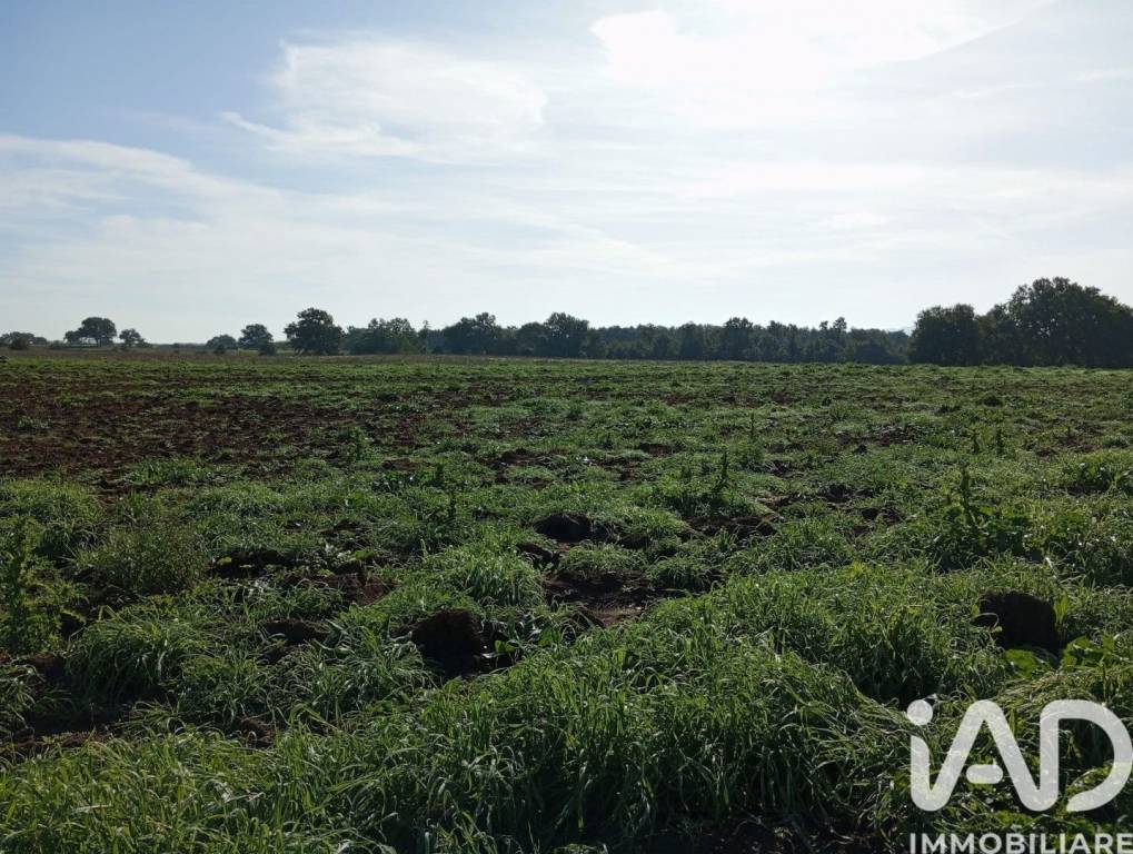 immagine annuncio 1 di 9