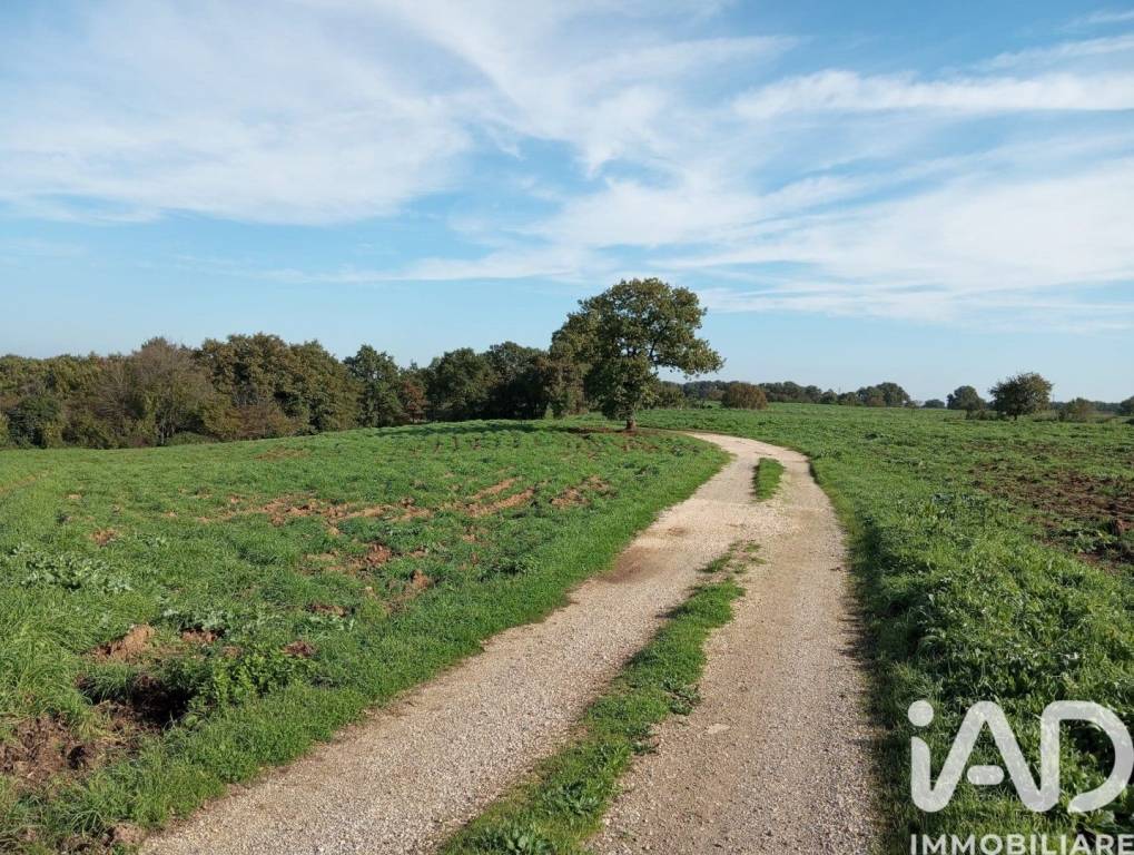 immagine annuncio 2 di 9