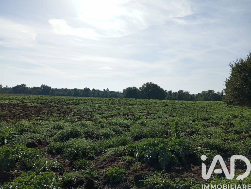 immagine annuncio 5 di 9