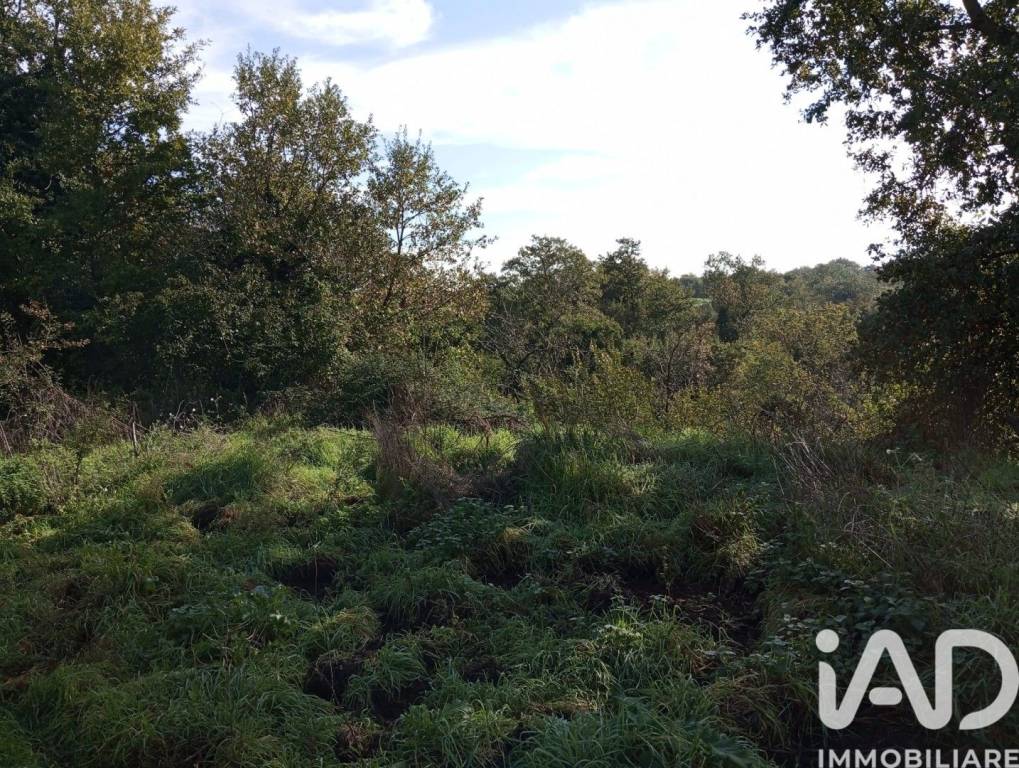 immagine annuncio 6 di 9