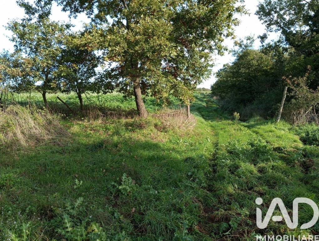 immagine annuncio 8 di 9