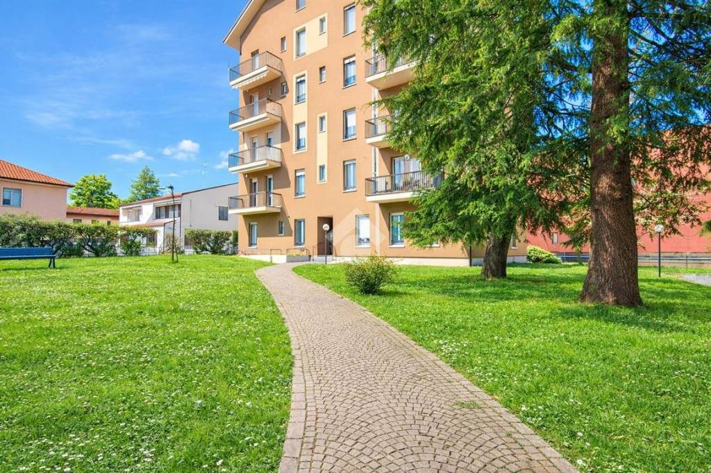 immagine annuncio 1 di 15