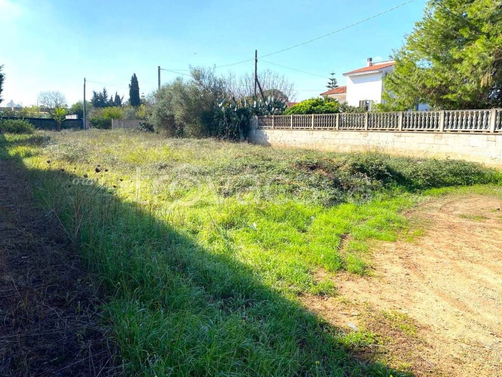 immagine annuncio 1 di 4