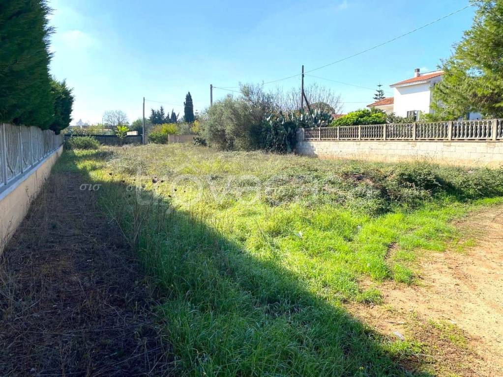 immagine annuncio 2 di 4