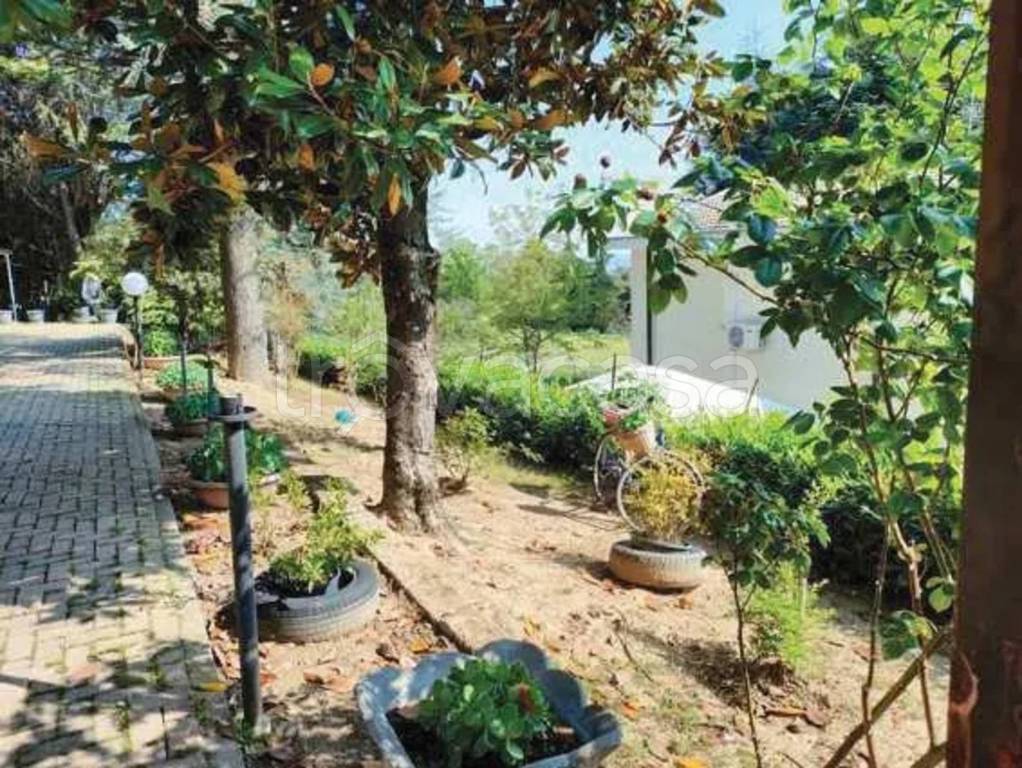 immagine annuncio 9 di 11