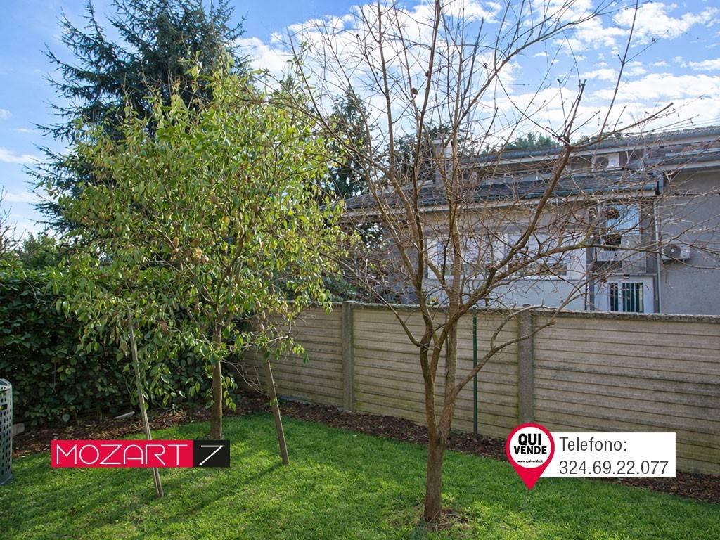 immagine annuncio 5 di 15