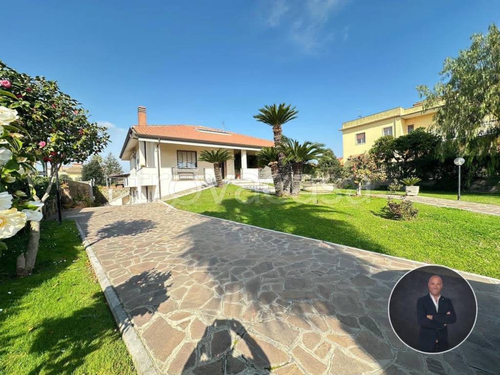 immagine annuncio 10 di 15