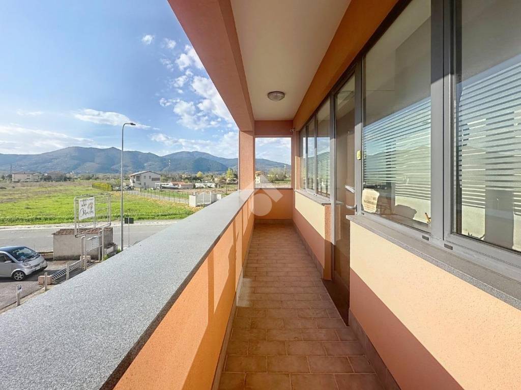 immagine annuncio 11 di 13