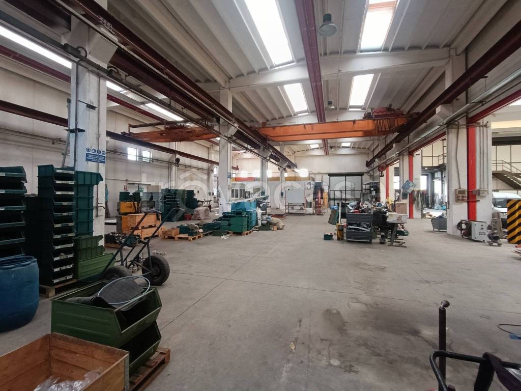 immagine annuncio 10 di 15