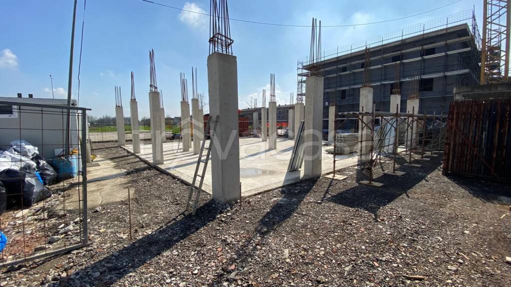 immagine annuncio 6 di 15