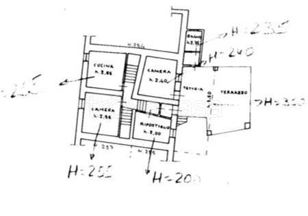 immagine annuncio 12 di 14