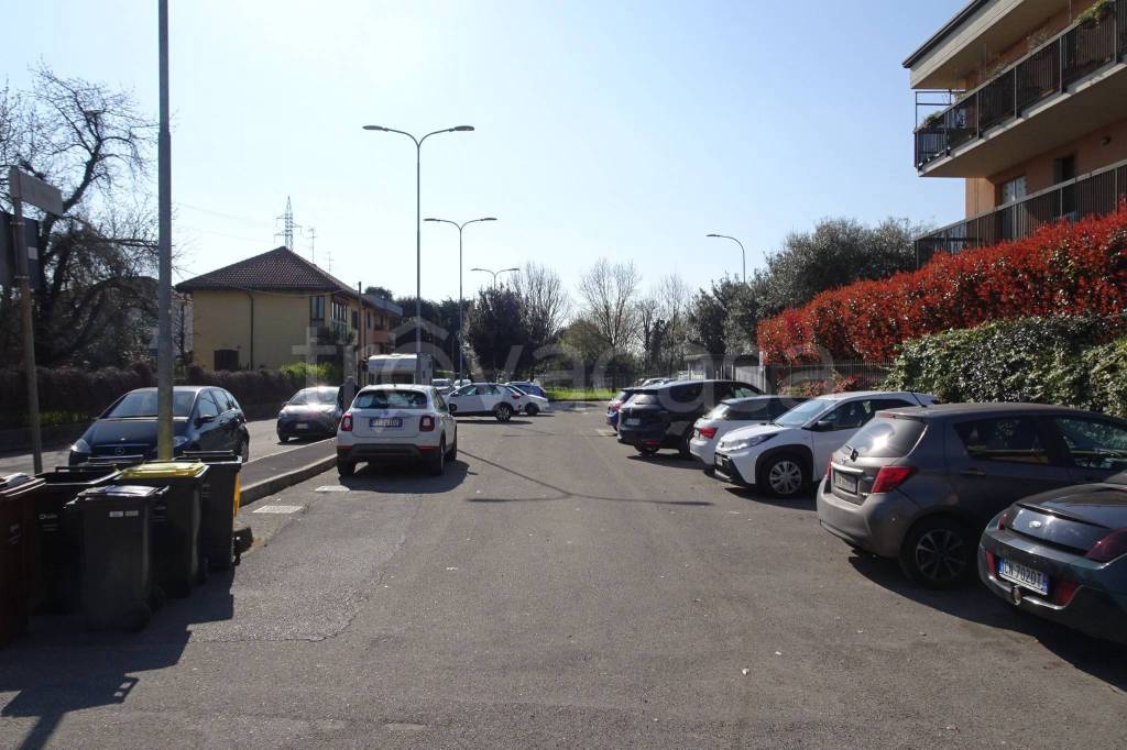 immagine annuncio 8 di 15