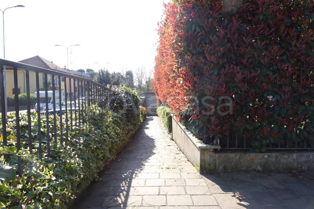 immagine annuncio 7 di 15