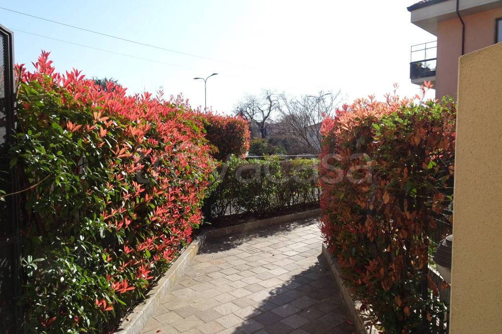 immagine annuncio 6 di 15