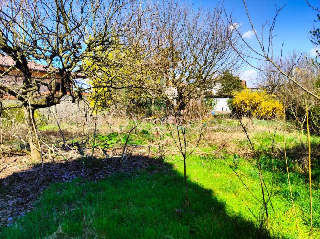 immagine annuncio 3 di 11