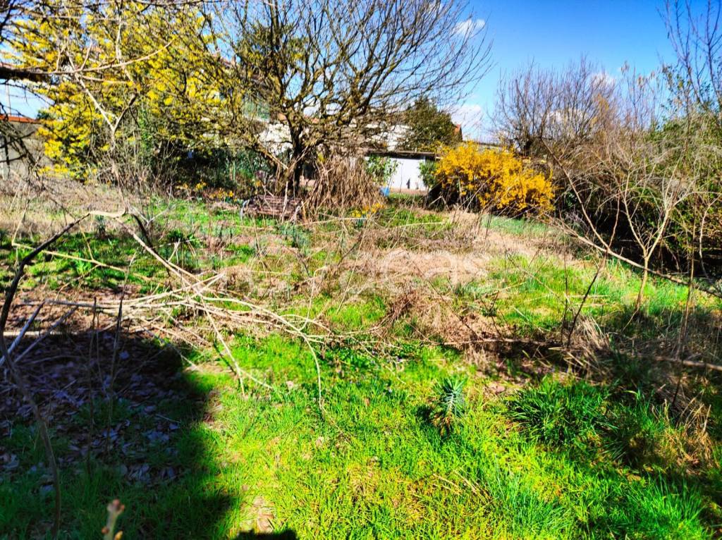 immagine annuncio 4 di 11