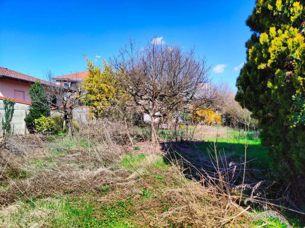 immagine annuncio 5 di 11