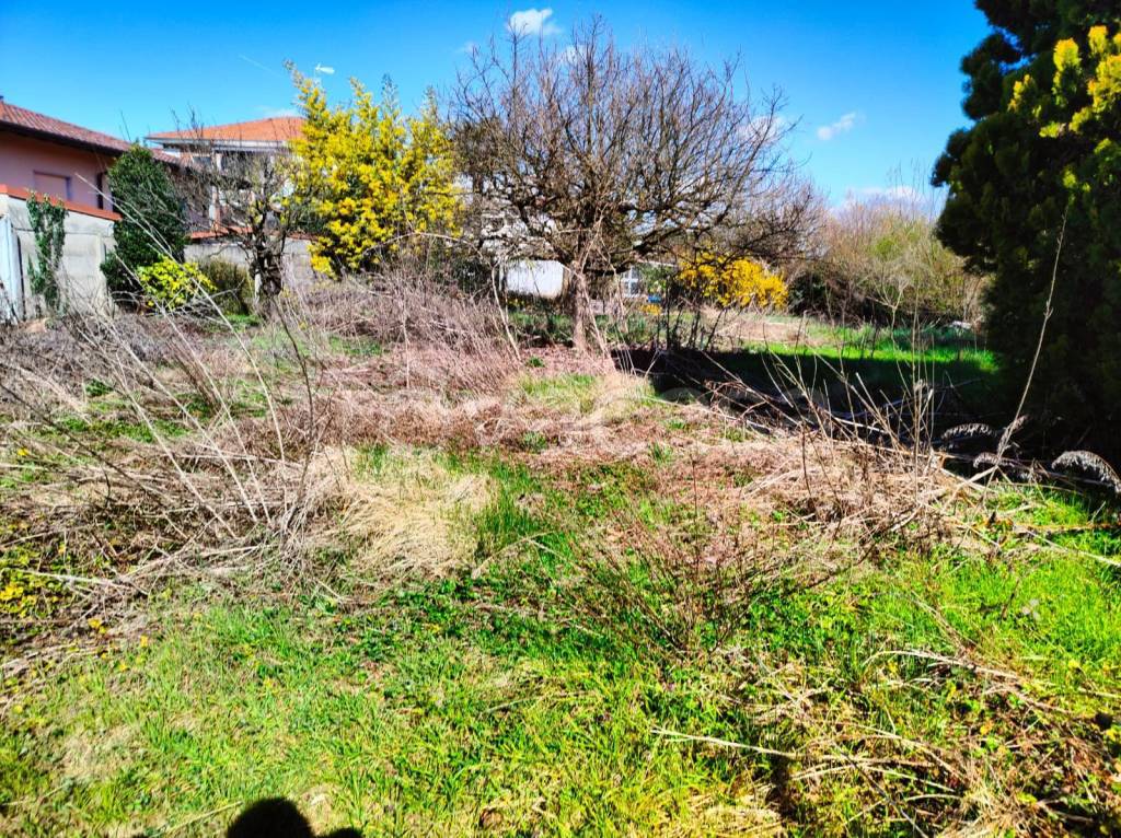 immagine annuncio 6 di 11