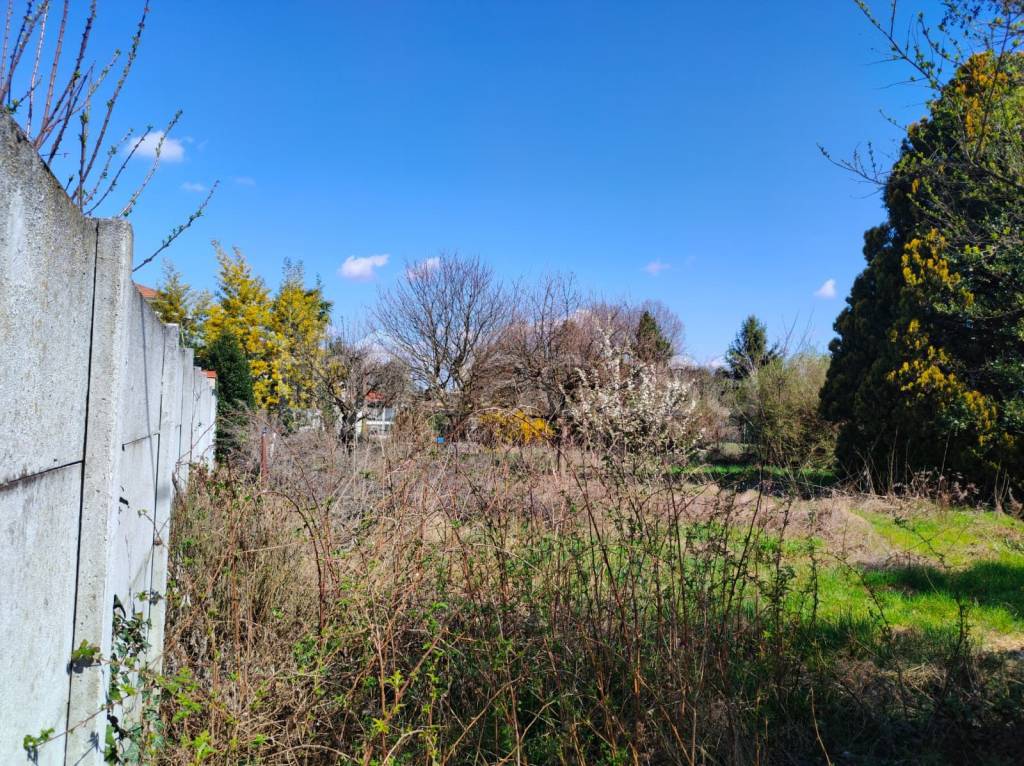 immagine annuncio 7 di 11