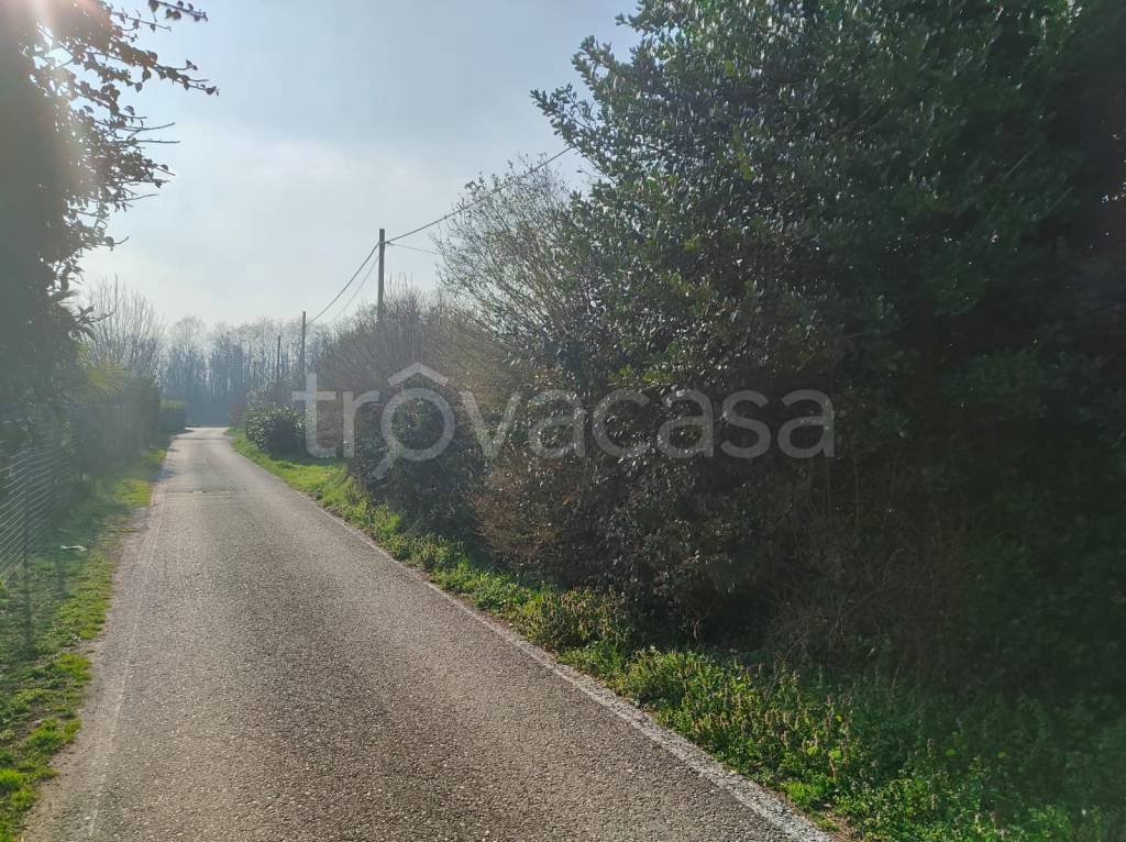 immagine annuncio 8 di 11