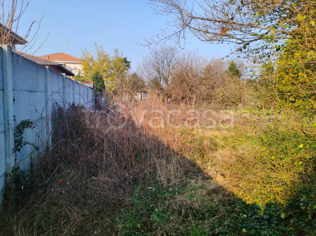 immagine annuncio 9 di 11