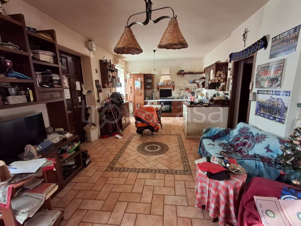 immagine annuncio 13 di 14