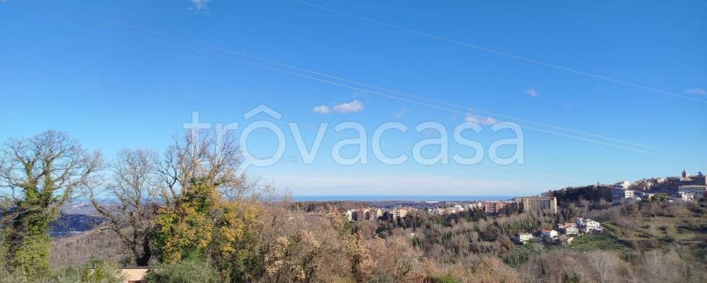 immagine annuncio 9 di 11