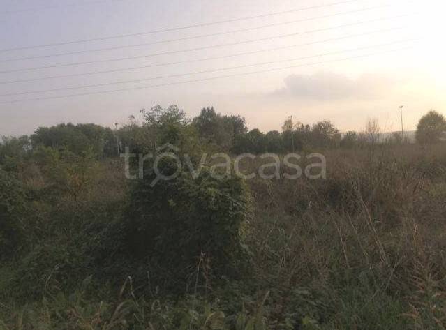 immagine annuncio 4 di 12