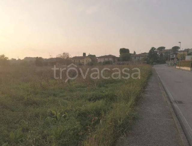 immagine annuncio 6 di 12