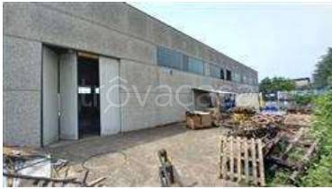 immagine annuncio 2 di 12