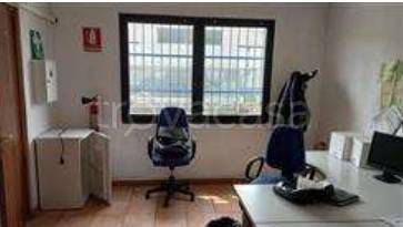 immagine annuncio 6 di 12