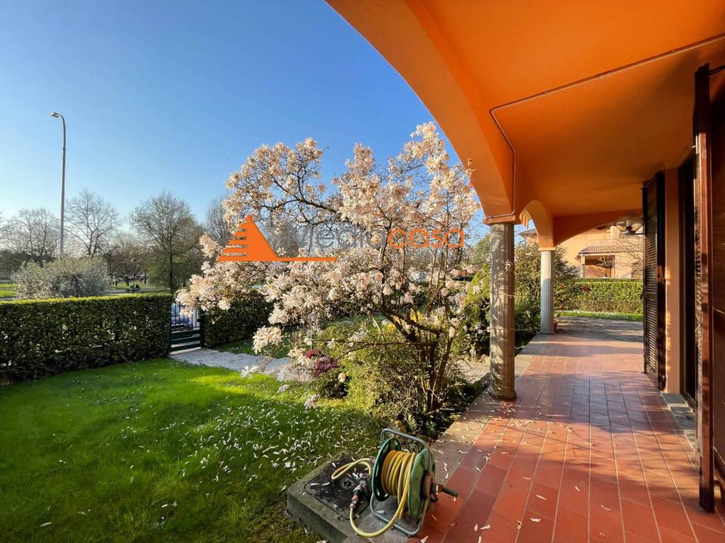 immagine annuncio 6 di 15