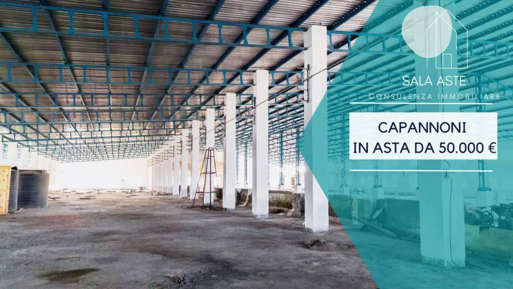 immagine annuncio 7 di 12