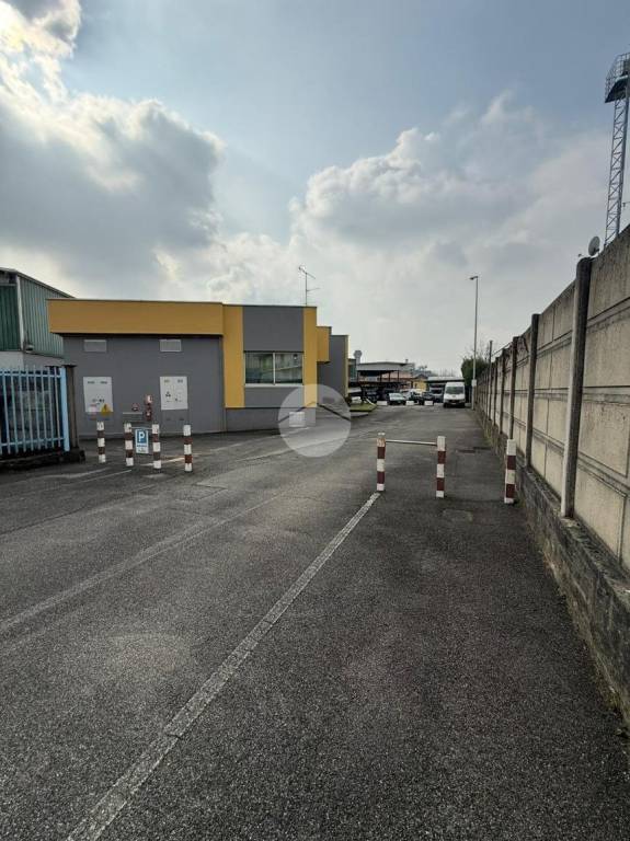 immagine annuncio 1 di 11