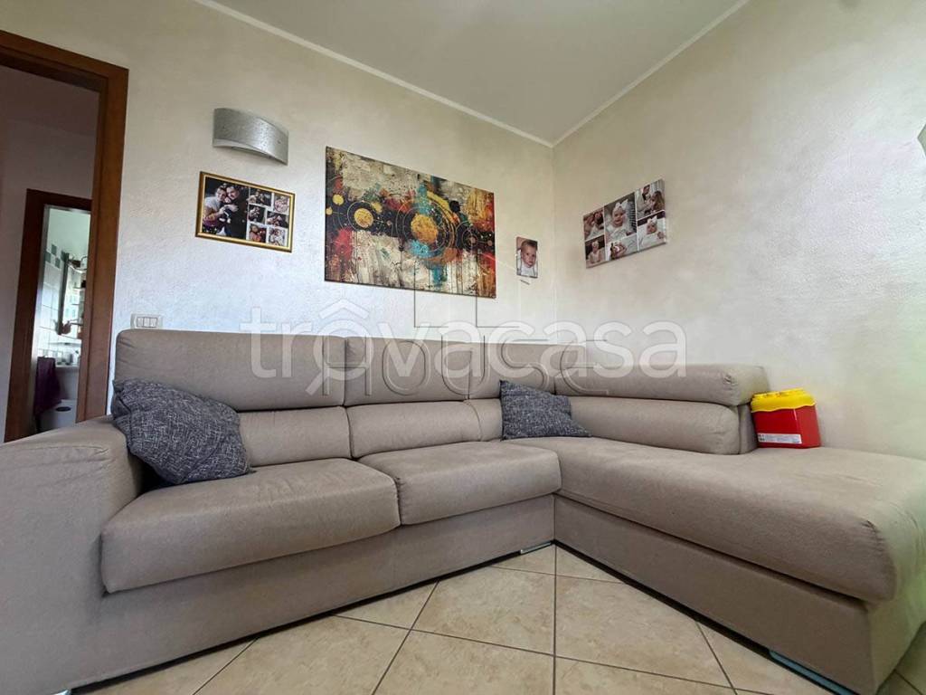 immagine annuncio 7 di 15