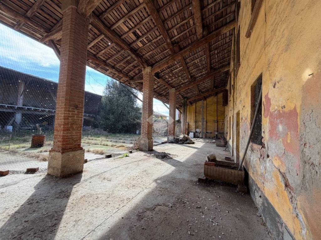 immagine annuncio 12 di 15