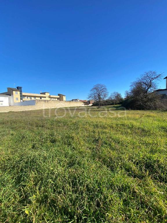 immagine annuncio 2 di 6