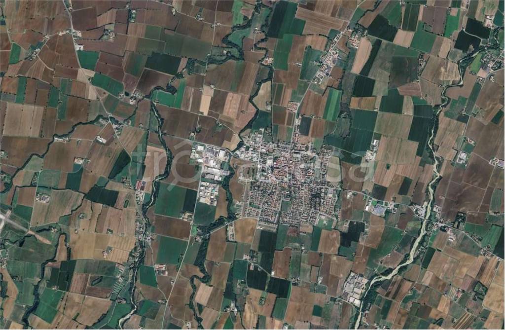 immagine annuncio 4 di 9