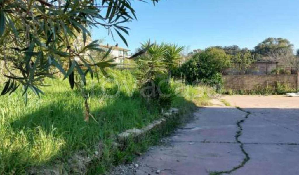 immagine annuncio 8 di 12