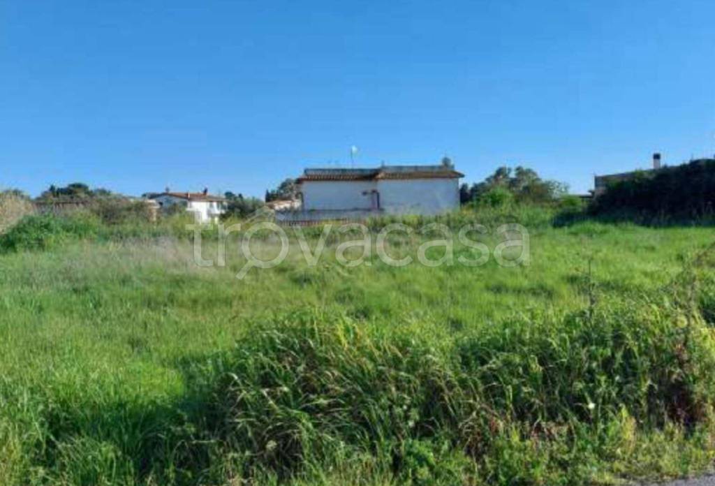 immagine annuncio 10 di 12