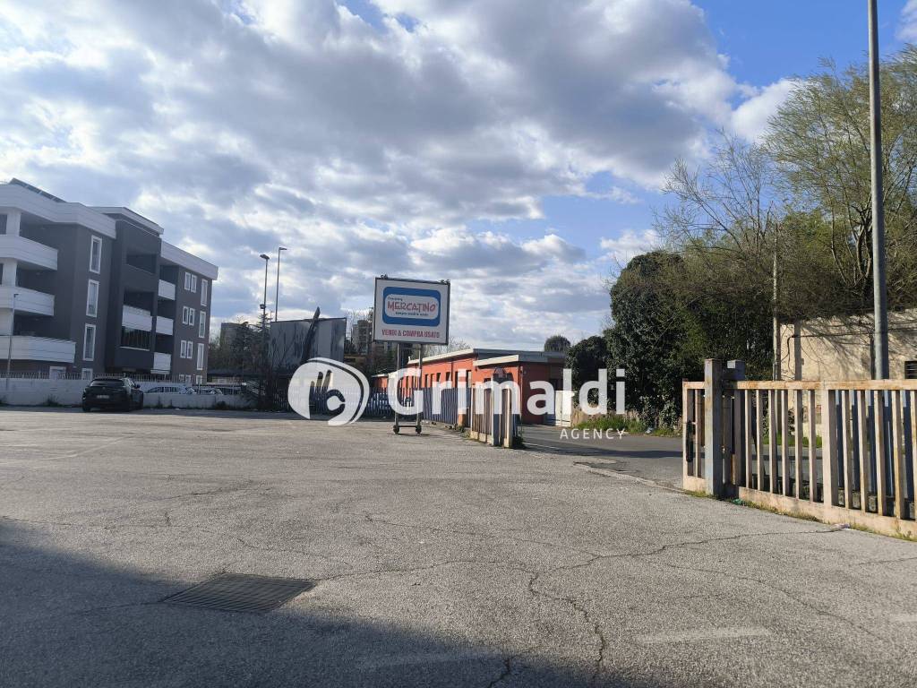 immagine annuncio 2 di 14