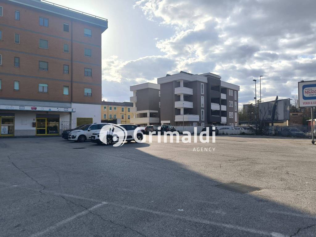 immagine annuncio 3 di 14