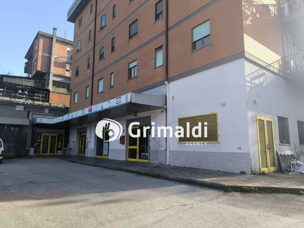 immagine annuncio 7 di 14