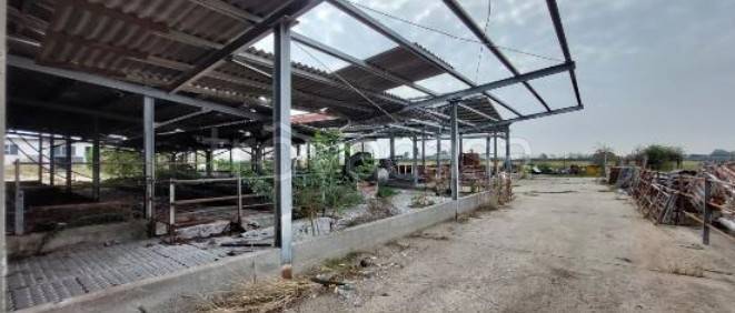 immagine annuncio 1 di 9